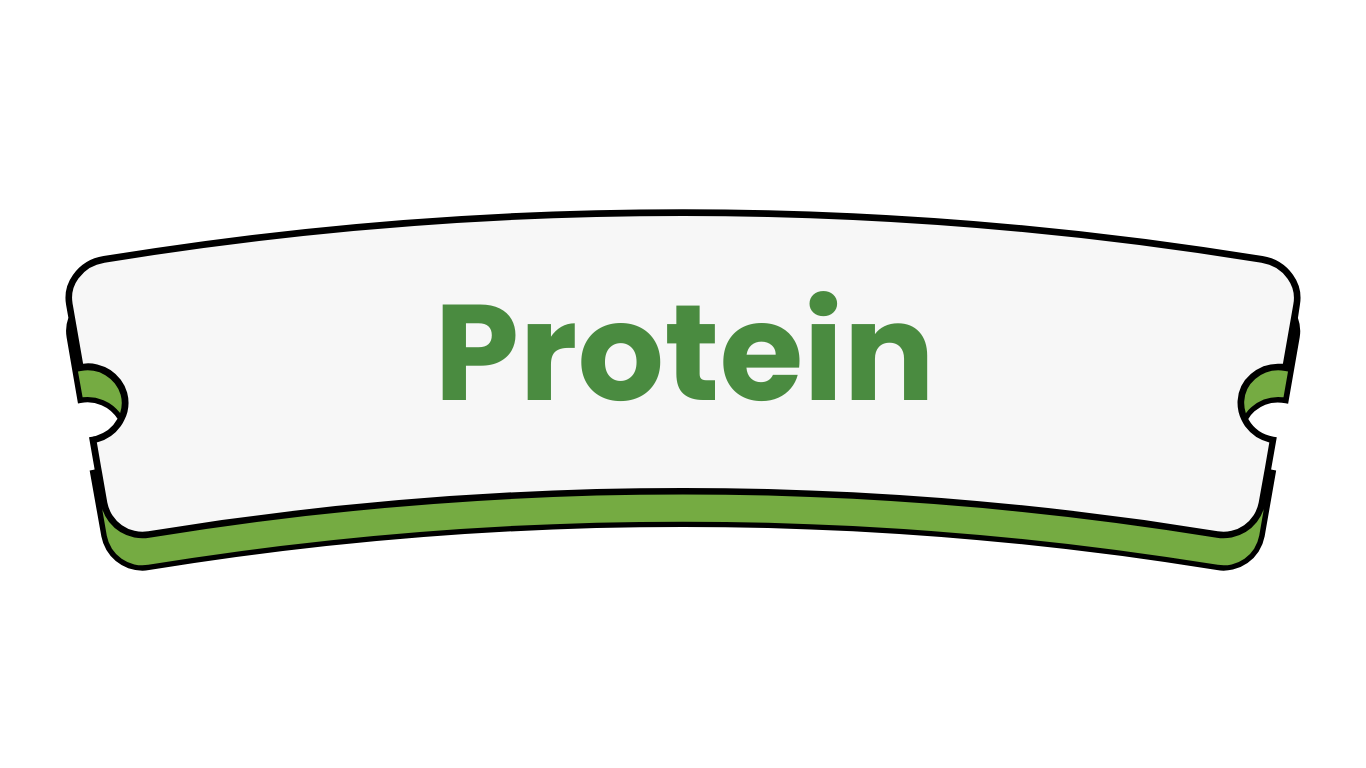 Protein